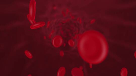 红细胞血小板概念模型
