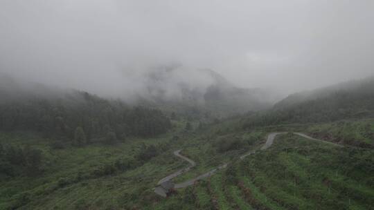 云雾 山脉 丘陵地带  中国南方