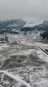 竖版航拍南方乡村田园农田梯田雪景