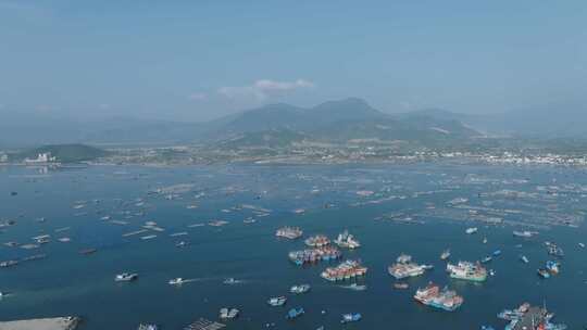 越南芽庄港口 海边城市 城市风景 航拍