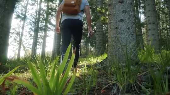森林中的徒步的背包客
