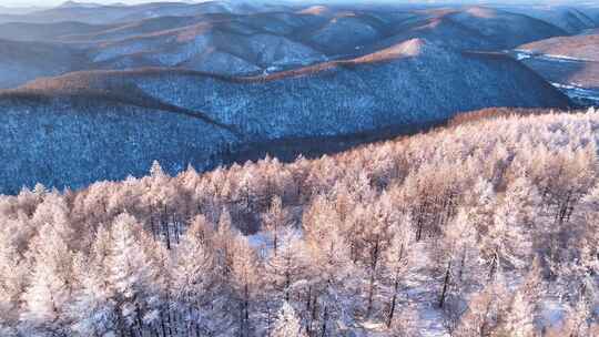 兴安岭林海雪原森林雾凇合集