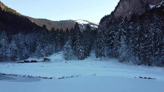 航拍高原雪山森林