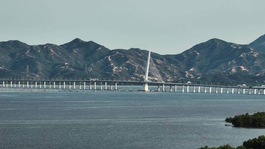 深圳湾大桥航拍视频素材模板下载