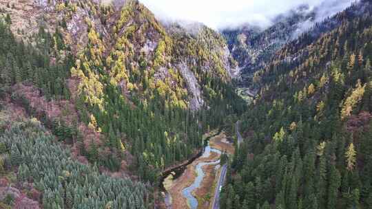 航拍九寨沟秋景彩林川西秋天原始森林五花海