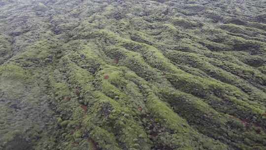 4k航拍冰岛Eldhraun极地苔原熔岩原