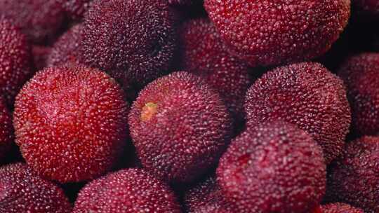 杨梅 水果 特写