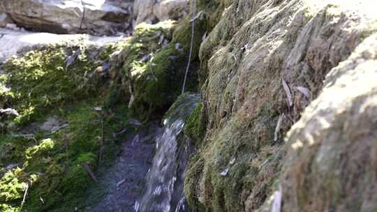 沕沕水 五龙谭 溪水 水流 自然景观