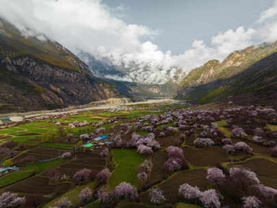 西藏嘉黎县桃花延时