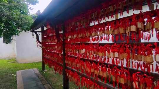 挂满红色祈福牌的幕墙和合欢树