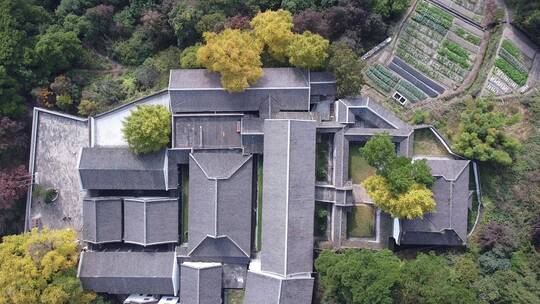 航拍南岳衡山福严寺古建筑群以及千年银杏树