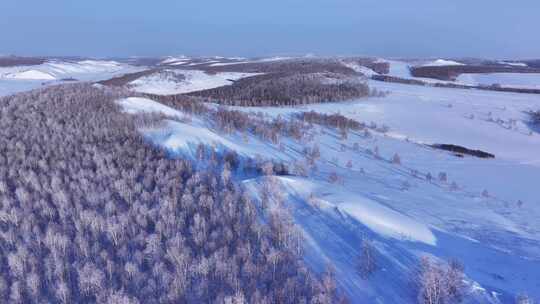 冰雪覆盖的广袤森林与山丘景色