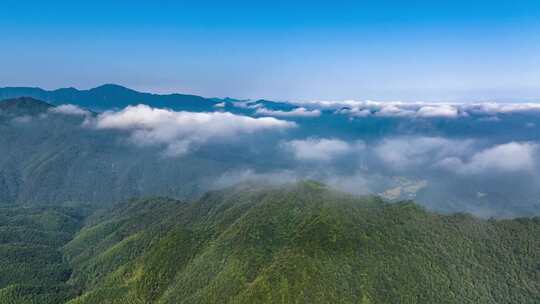 云海山川森林大山风景云海云雾