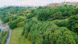 城市公园树木草地绿化航拍高清在线视频素材下载