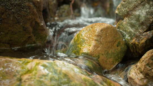 山谷泉水清澈小溪潺潺流水视频素材模板下载
