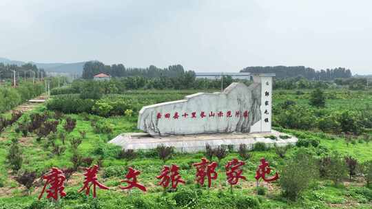 高清航拍燕郊外养生玉米地 生态植物