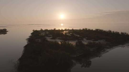 黄河三角洲湿地日出时分