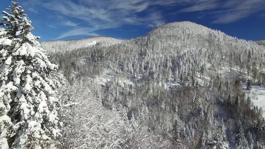 4K冬日冬季滑雪雪景雪山树林森林云彩白云