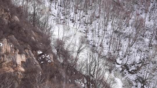 冬天 冬季 寒冷 凄凉 冷漠