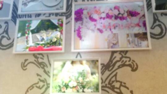 唯美简洁照片墙浪漫婚礼开场照片展示AE模板