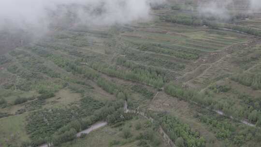 青海平安八瓣莲花山云雾田地树木航拍视频