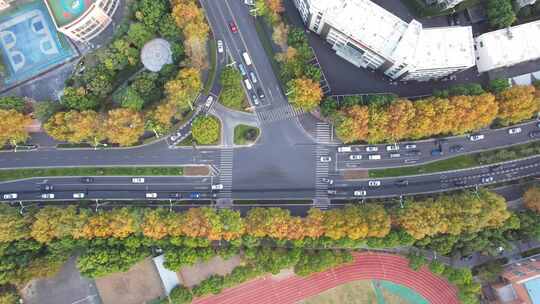 城市秋天道路风景航拍