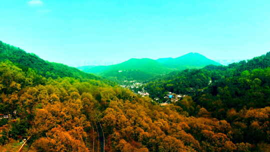 航拍西湖龙井翁家山茶山