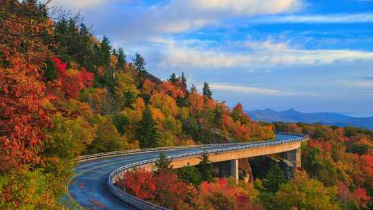 秋日山间公路与多彩树林景观