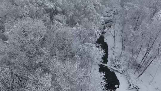 东北冬天长白山寒冷河流不冻河雾凇雪景