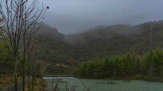 重庆巫溪红池坝景区雨雾延时