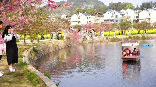 油菜花 春游踏青 游玩公园