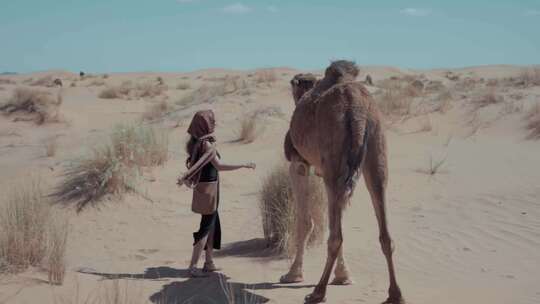 沙漠骑骆驼 骆驼视频素材模板下载