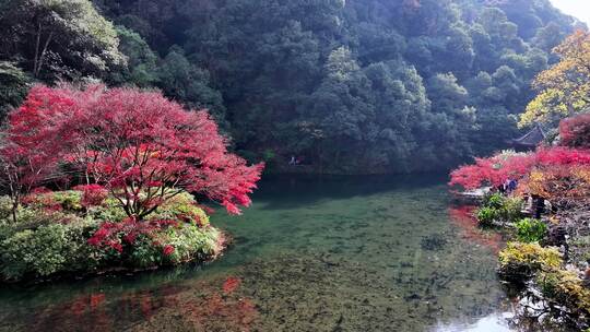 杭州九溪烟树湖泊红叶航拍