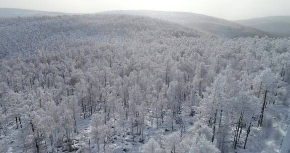 零下40度的低温航拍大兴安岭冰雪雾凇