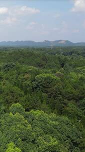 航拍贵州山川绿色森林植物竖屏