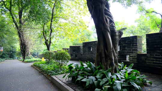 广州 越秀公园 古城墙视频素材模板下载