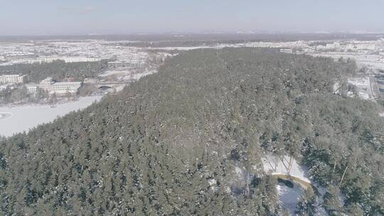 冬季长白山原始森林雪景林海雪原