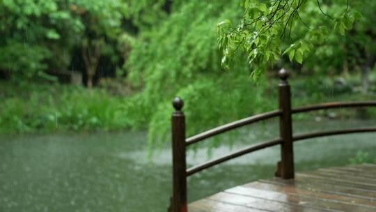 176 杭州 风景 古建筑 下雨天 小桥 树枝