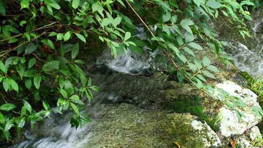 森林流水大自然小溪水瀑布山涧水源泉水山水