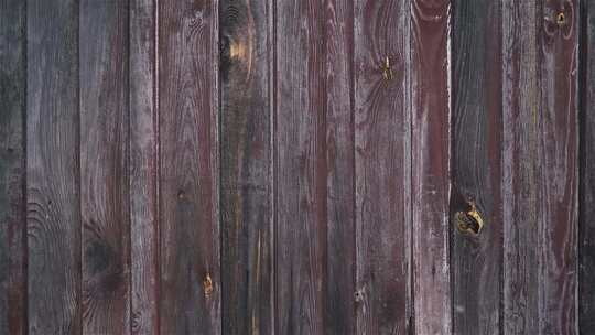 木板木板旧木墙的自然背景