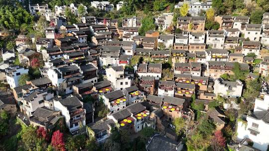 江西上饶市篁岭风景区