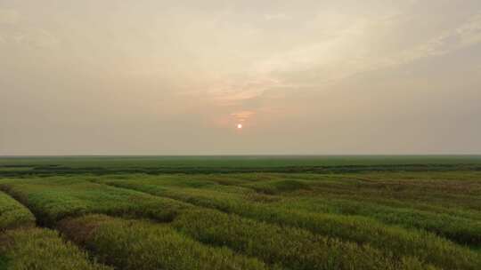 草原风光航拍鄱阳湖湿地公园风光阳光草地