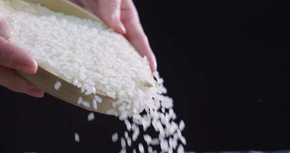 大米粮食农作物