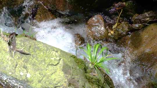 河边流水河流河水小溪山泉泉水水流升格美景