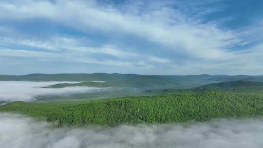 航拍云雾缭绕的山林