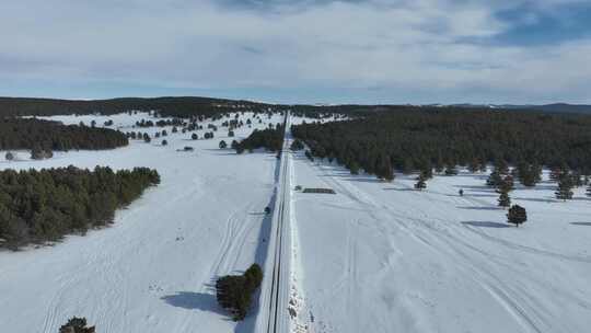 草原冰雪道路樟子松林