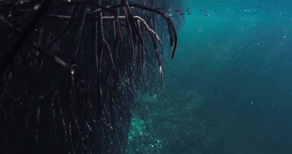 深海湖泊潜水水下水底拍摄