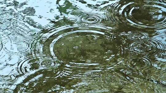 夏季下雨雨水滴落水面涟漪