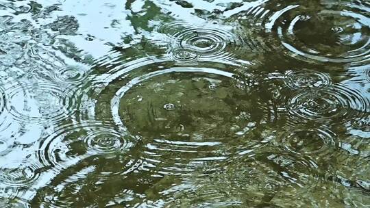 夏季下雨雨水滴落水面涟漪视频素材模板下载