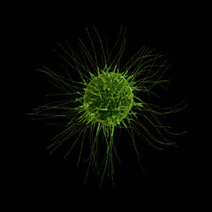 病毒细菌